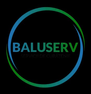 Logo Baluserv