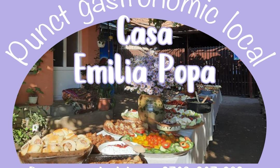 Logo SC. Casa Emilia Popa SRL